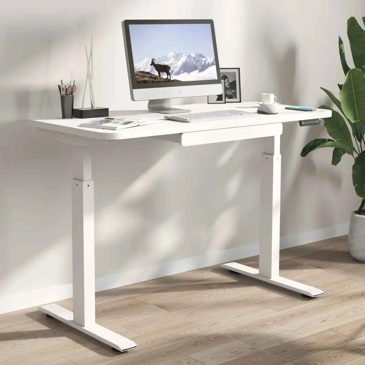Motionwise 48" × 24" Height Adjustable Standing Desk – Ergonomic Workstation