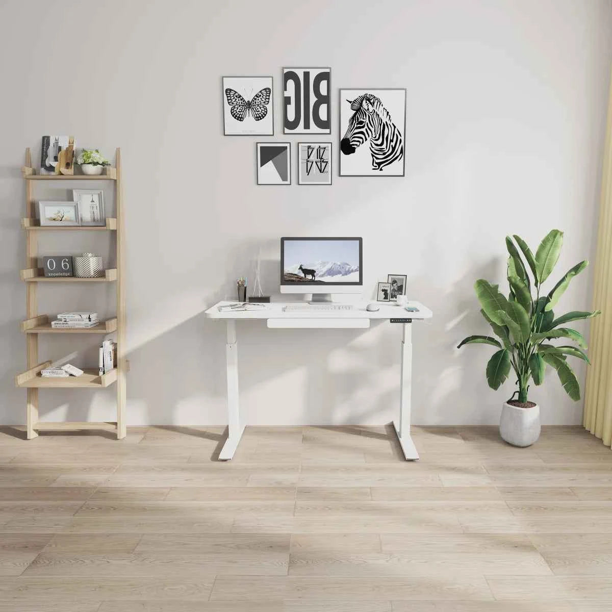 Motionwise 48" × 24" Height Adjustable Standing Desk – Ergonomic Workstation