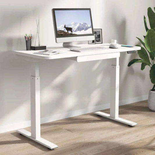 Motionwise 48" × 24" Height Adjustable Standing Desk – Ergonomic Workstation