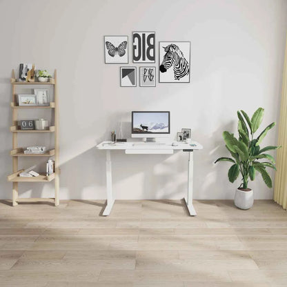Motionwise 48" × 24" Height Adjustable Standing Desk – Ergonomic Workstation
