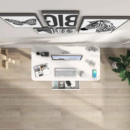 Motionwise 48" × 24" Height Adjustable Standing Desk – Ergonomic Workstation