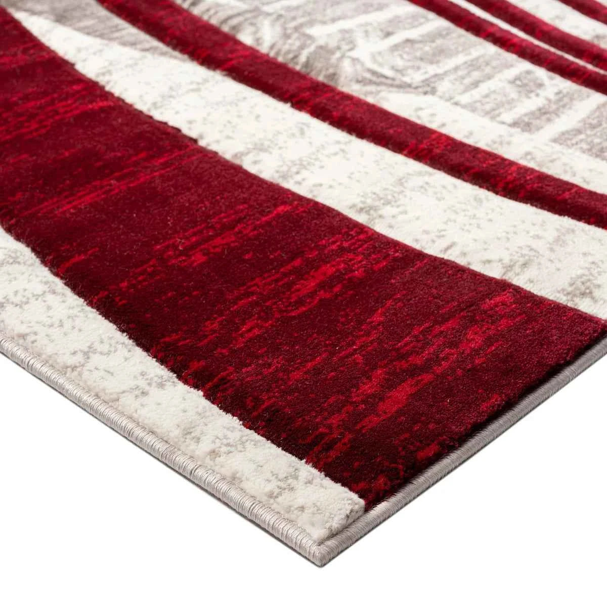 Reflection Anya 7'10" x 10'9" Area Rug – Modern Elegant Soft Rug for Living Room, Bedroom & More