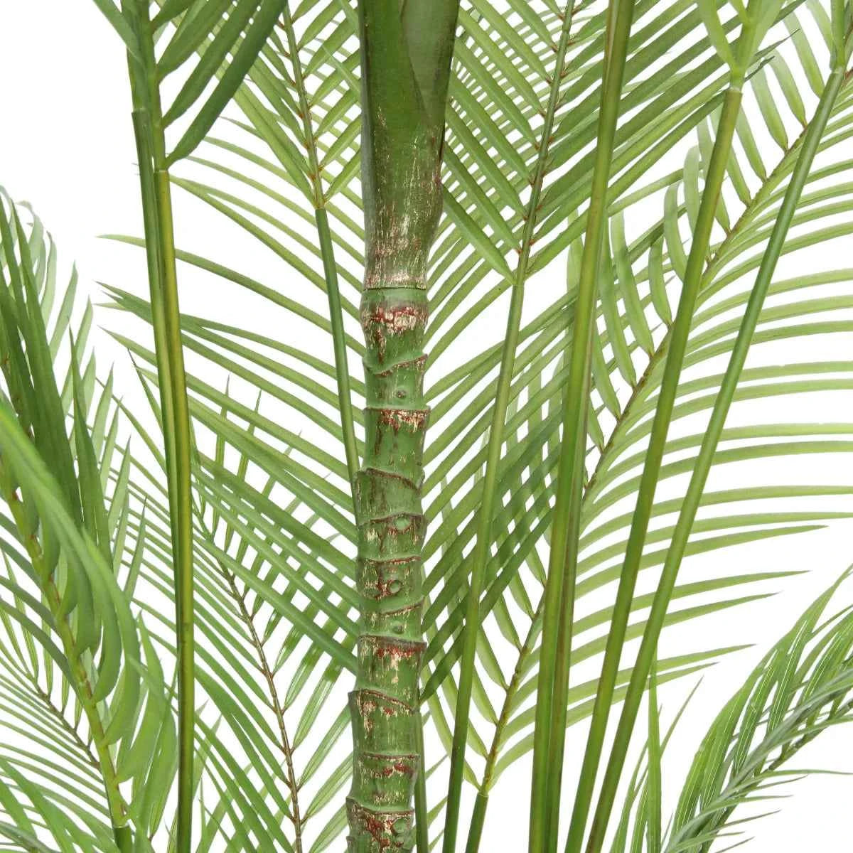 Faux Palm Tree – 2.0 m (6.5 ft.) Tall Artificial Indoor Plant with Planter