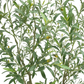 Faux Olive Tree 1.9 m (6.5 ft) – Lifelike Indoor Artificial Tree with Shapable Wire Stems & Crock‑Style Planter
