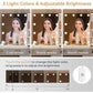 Ashwani Vanity – Elegant & Functional Bathroom Vanity