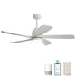 Damecia 52" Ceiling Fan with LED Lights – Modern & Energy-Efficient Cooling Solution