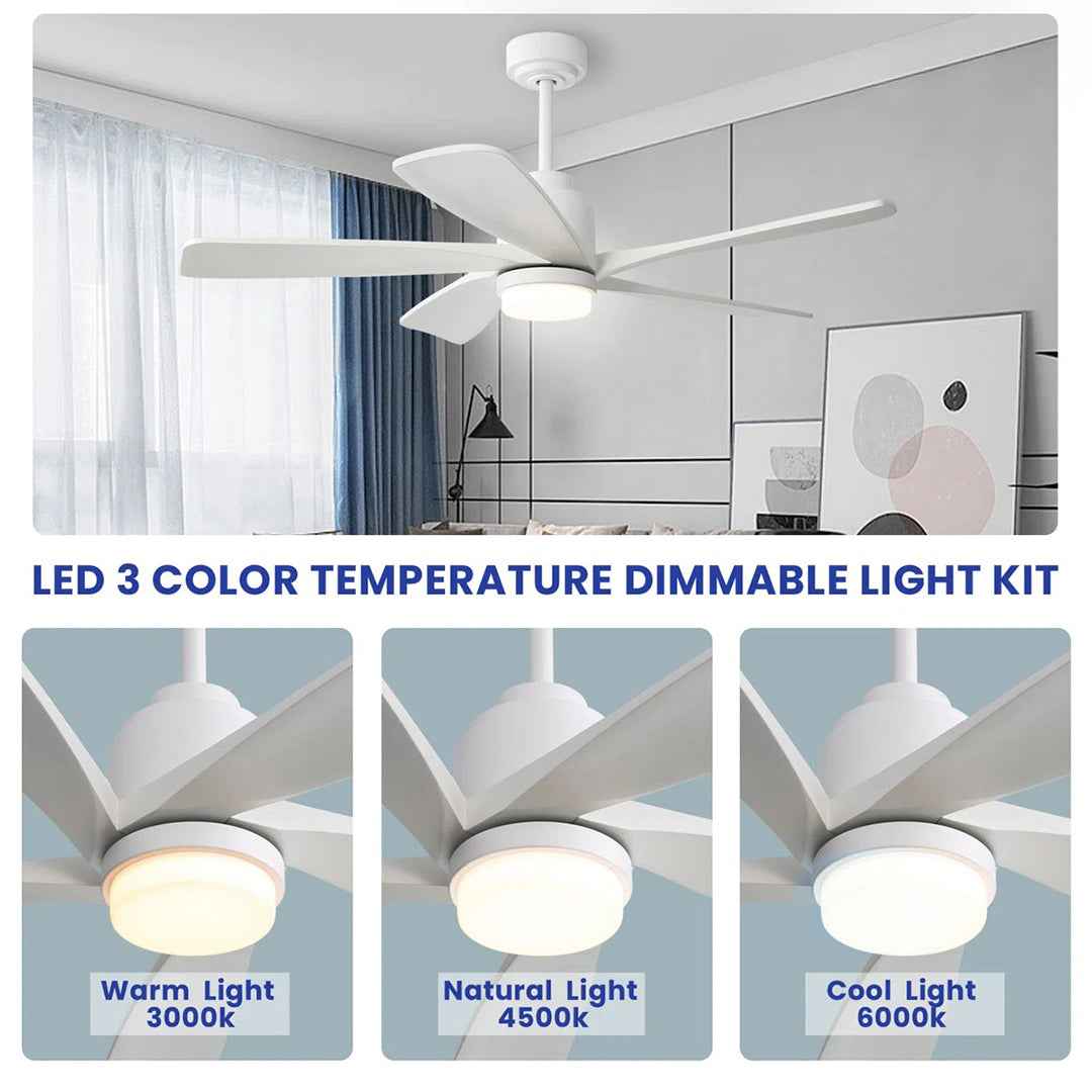 Damecia 52" Ceiling Fan with LED Lights – Modern & Energy-Efficient Cooling Solution
