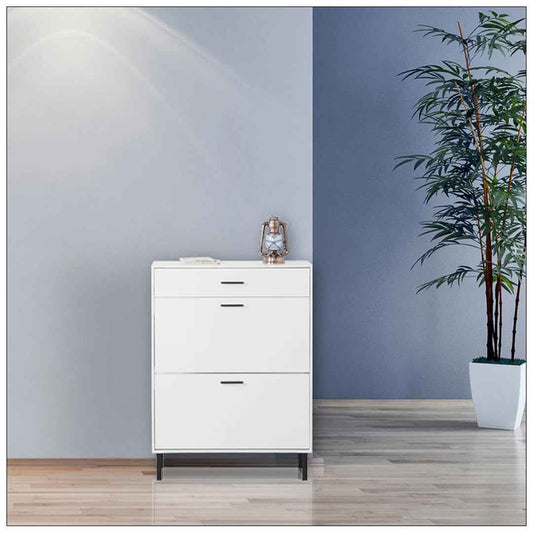 Freestanding Shoe Cabinet with 2 Flip Drawers – Modern Entryway Storage with Metal Legs