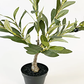 Urban Treasures Table Top Olive Tree – Realistic Faux Foliage, Small (15″) or Medium (20″) with Plastic Pot